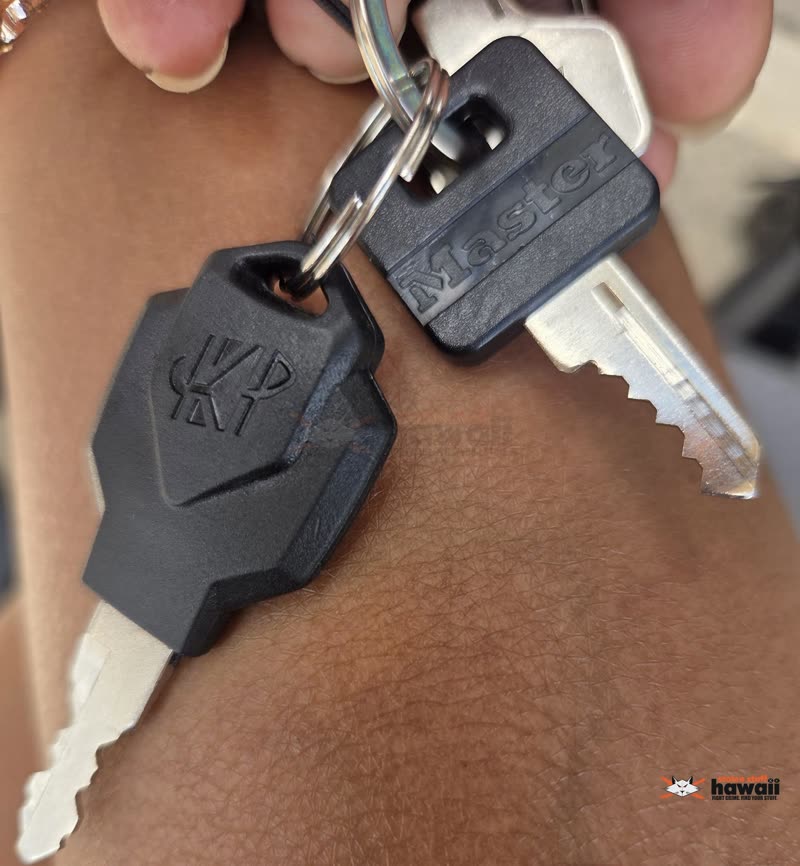 LOST ITEM - Oahu | SSH Search