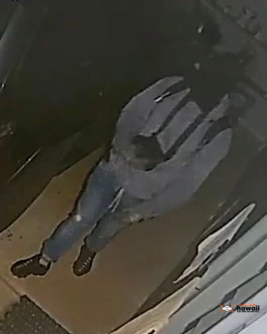 VEHICLE THEFT - Oahu | SSH Search