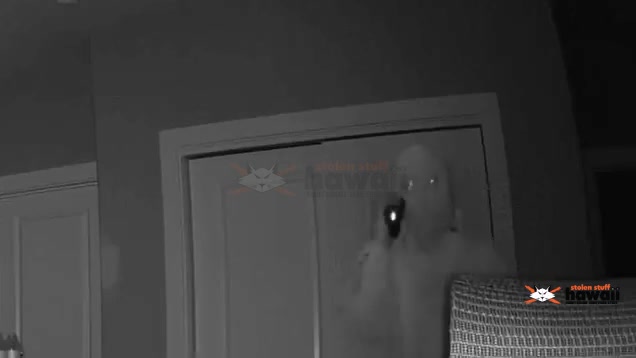 BURGLARY - Ewa Gentry | SSH Search