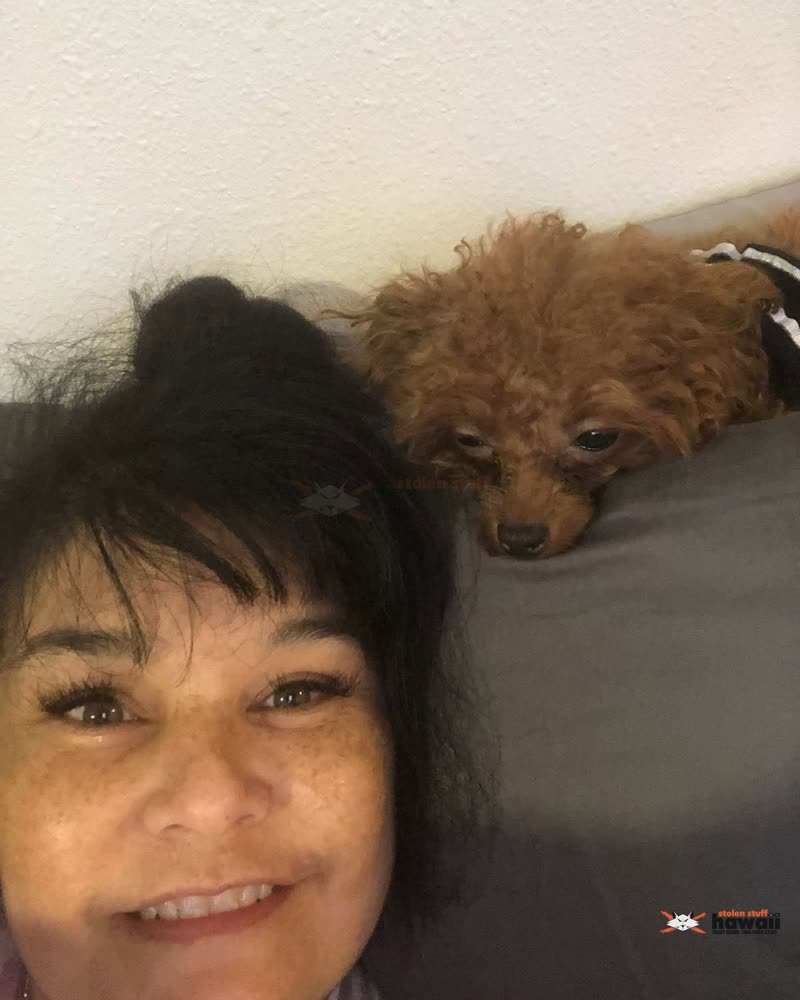 LOST PET - Oahu | SSH Search