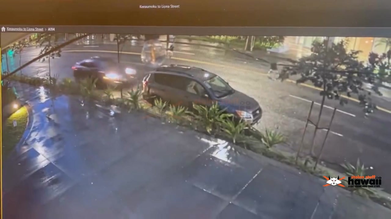 HIT AND RUN - Oahu | SSH Search