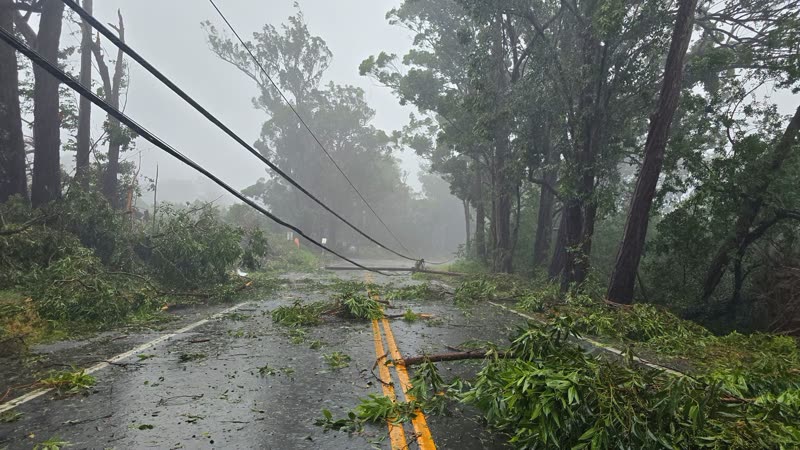 HURRICANE - Hawaii | SSH Search