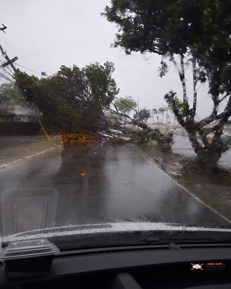 TRAFFIC - Haleiwa Beach Road | SSH Search