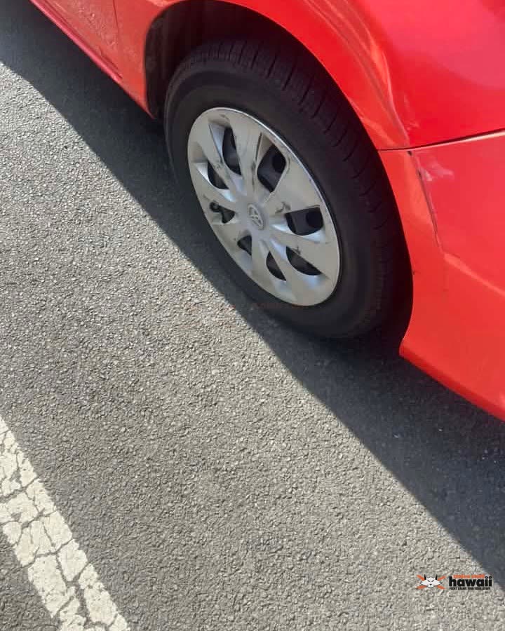 HIT AND RUN - Oahu | SSH Search