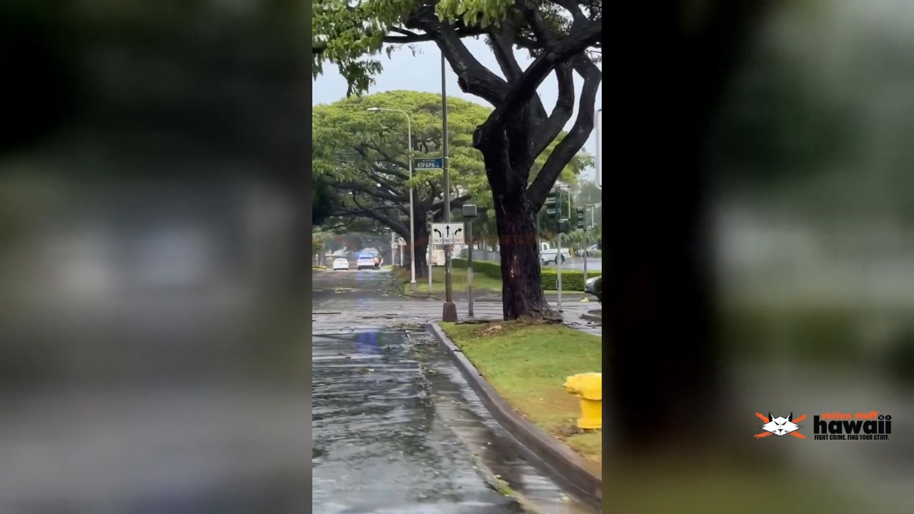 WEATHER ALERT - Oahu | SSH Search