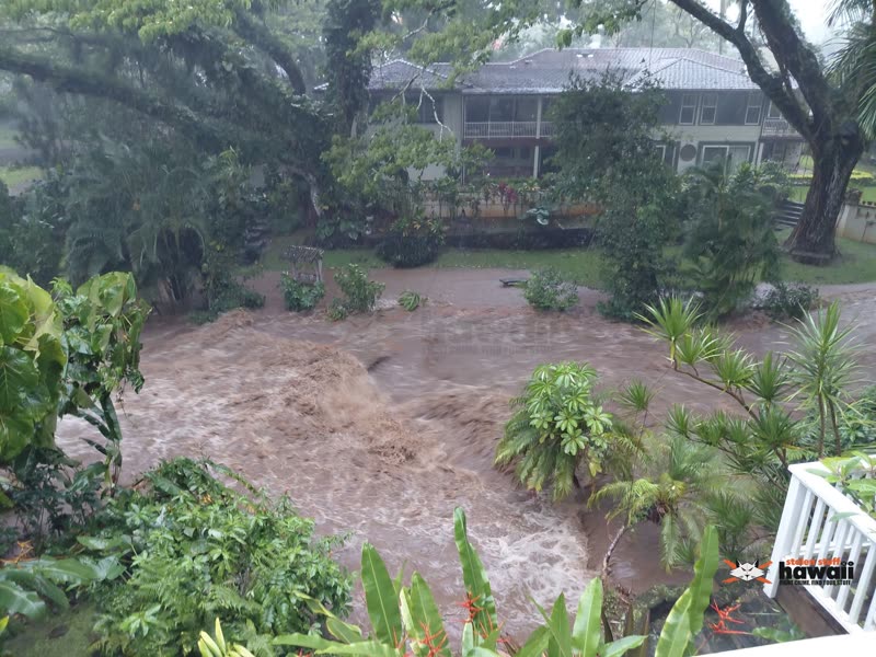 FLOOD - Kailua, Oahu | SSH Search