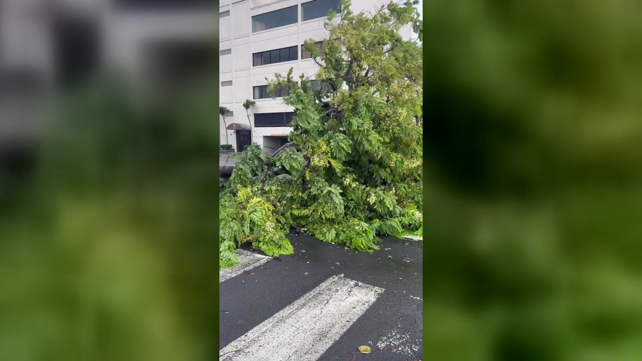 WEATHER ALERT - King Street and Young Stree, McCully | SSH Search