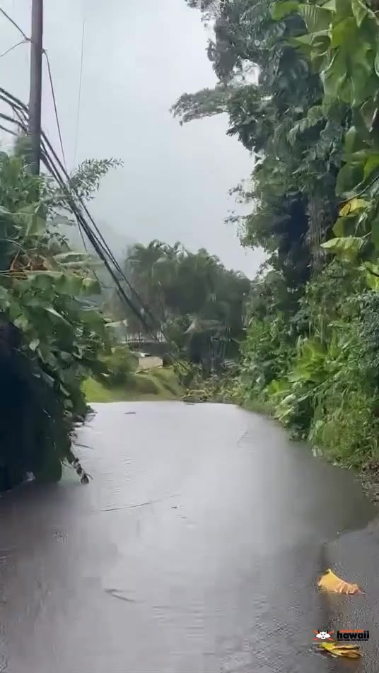 WEATHER ALERT - Oahu | SSH Search