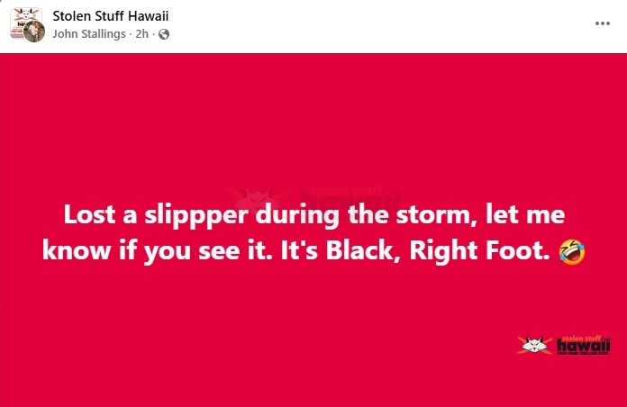 LOST ITEM - Oahu | SSH Search