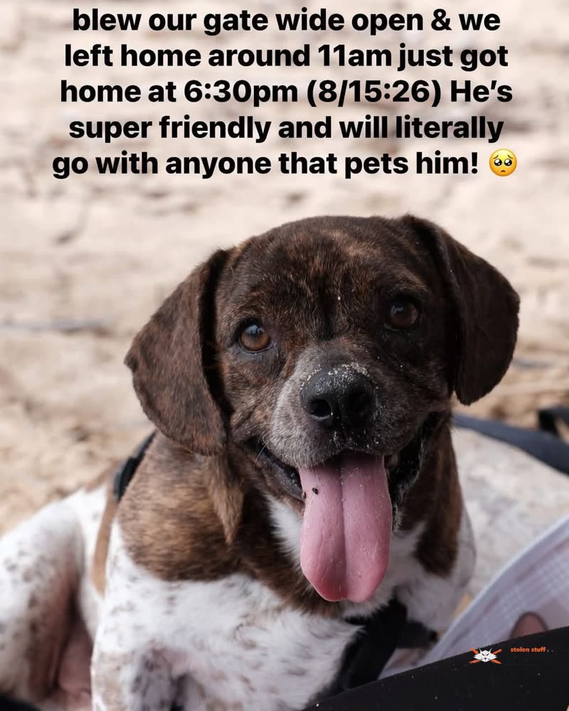 LOST PET - Oahu | SSH Search