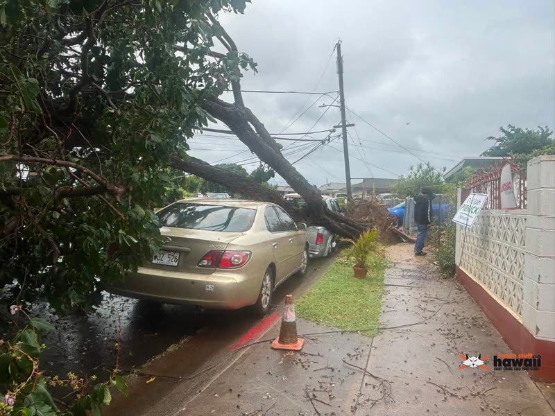 WEATHER ALERT - Oahu | SSH Search