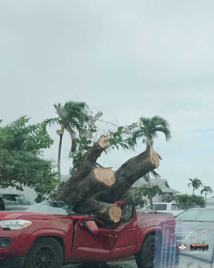 WEATHER ALERT - Noelani Street, Pearl City | SSH Search