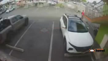 VEHICLE THEFT - Oahu | SSH Search
