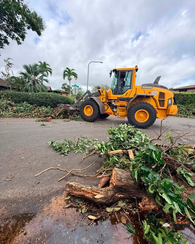 CLEANUP - Oahu | SSH Search