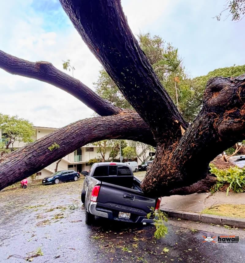 WEATHER ALERT - Oahu | SSH Search