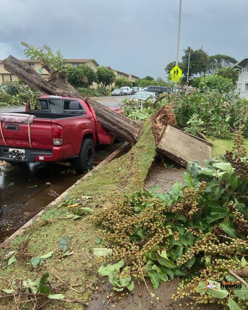 WEATHER ALERT - Oahu | SSH Search
