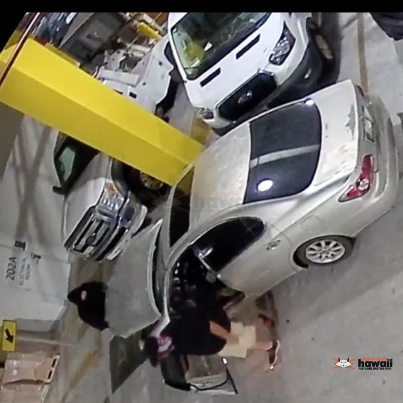 VEHICLE THEFT - Oahu | SSH Search