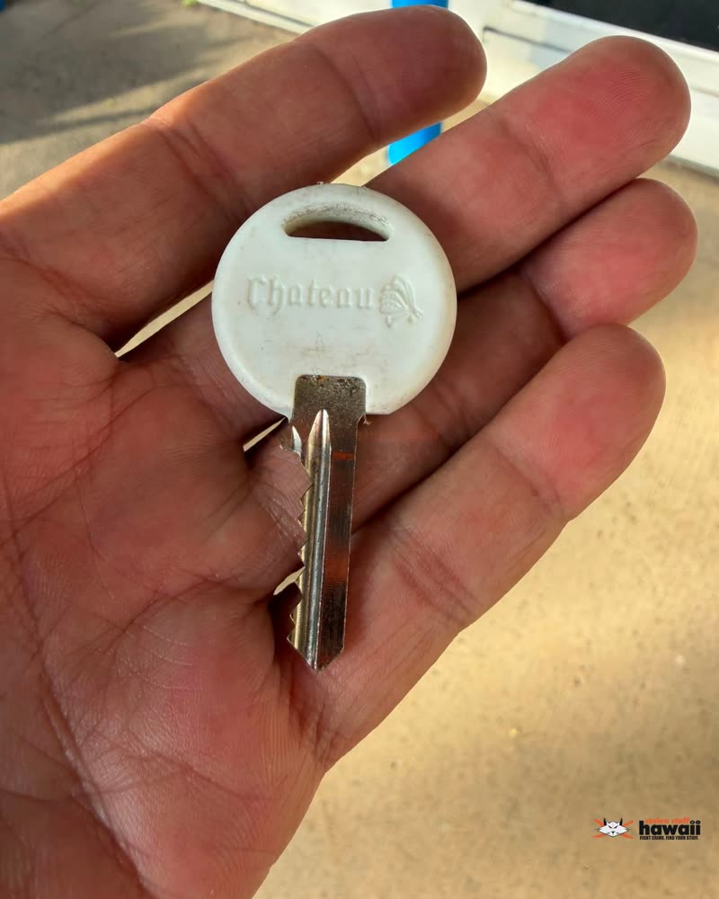FOUND ITEM - Oahu | SSH Search