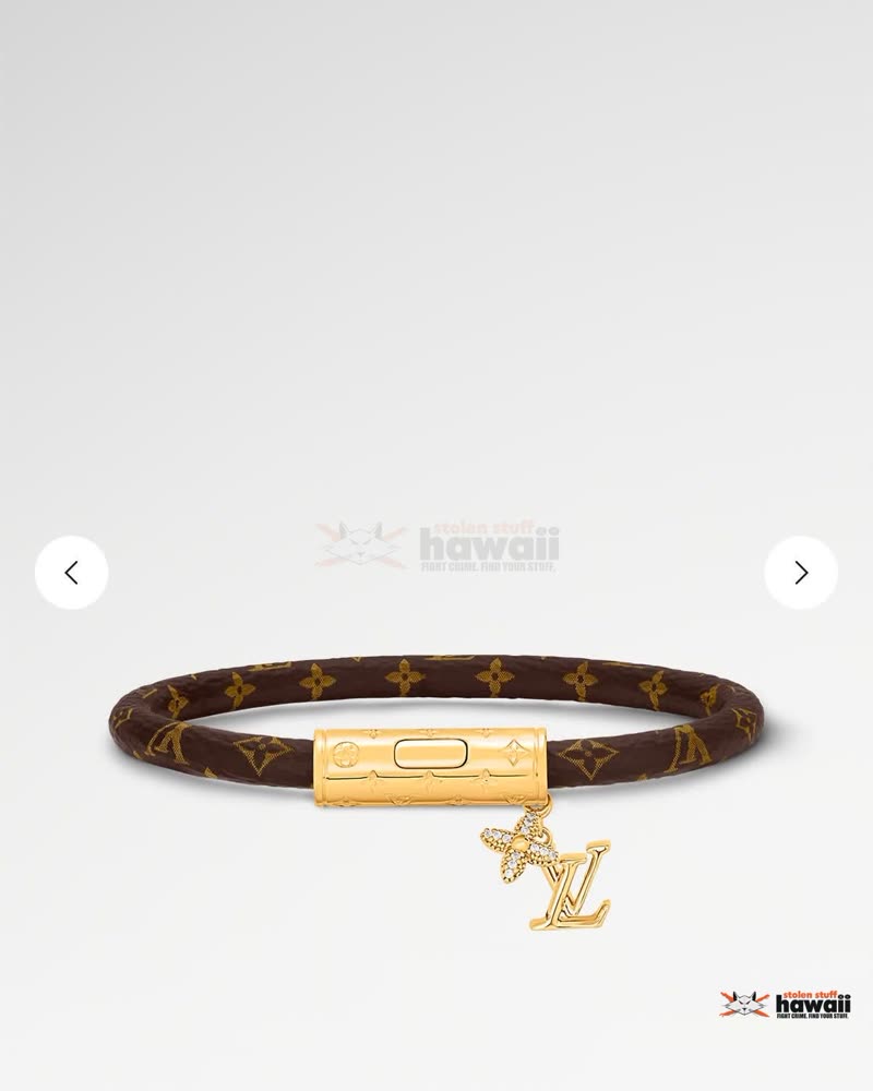 LOST ITEM - Oahu | SSH Search