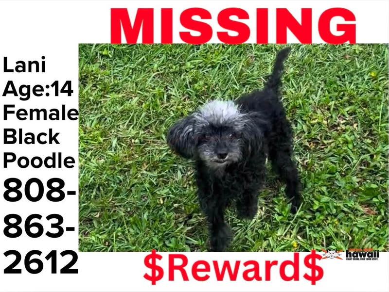 LOST PET - Temple Valley McDonalds | SSH Search