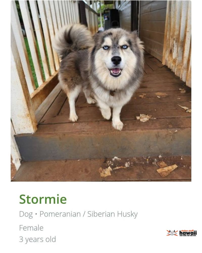 LOST PET - Oahu | SSH Search
