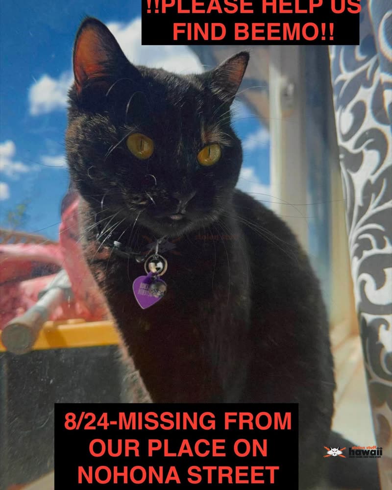 LOST PET - Oahu | SSH Search