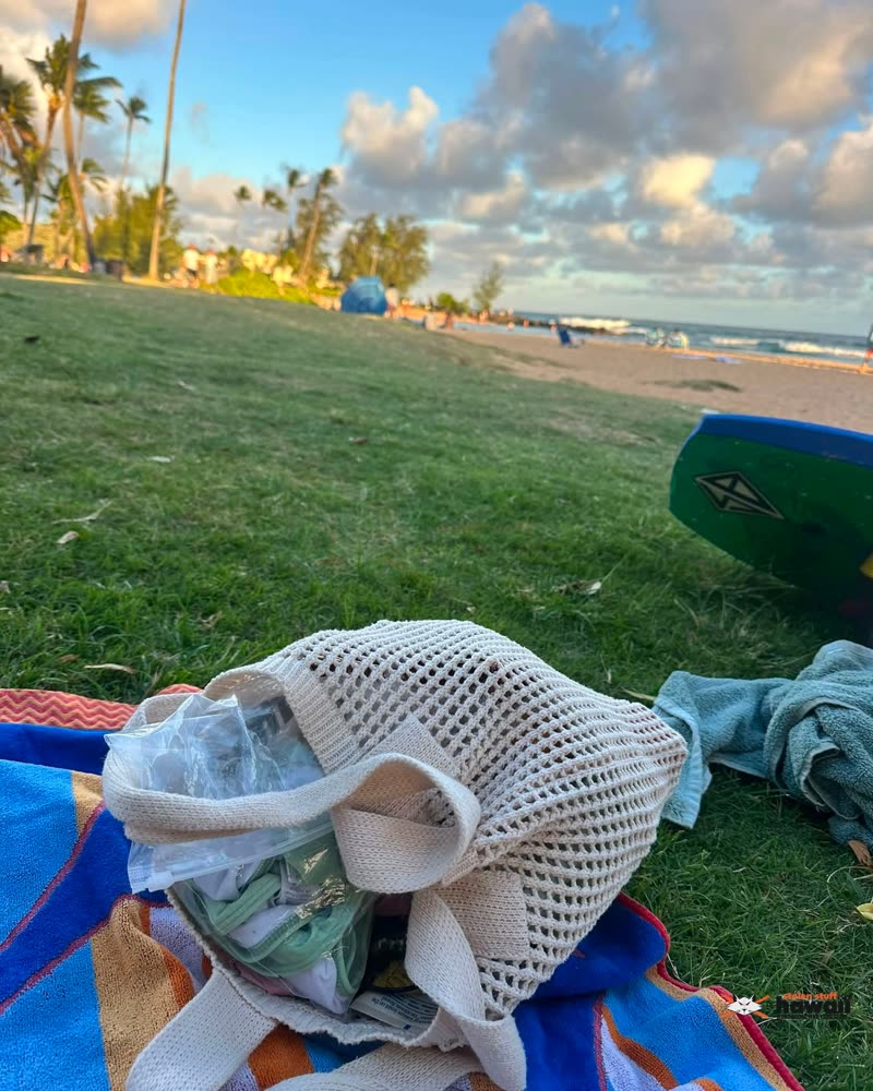 THEFT - Poʻipū Beach Park, Kauaʻi | SSH Search