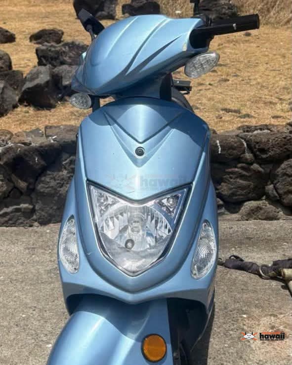 VEHICLE THEFT - Oahu | SSH Search