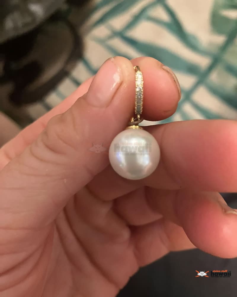 FOUND ITEM - Ala Moana Beach Park | SSH Search