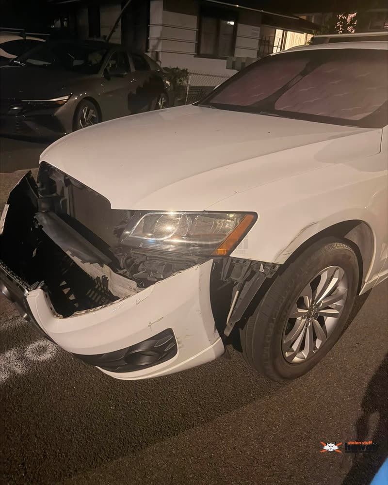 HIT AND RUN - Kailua | SSH Search