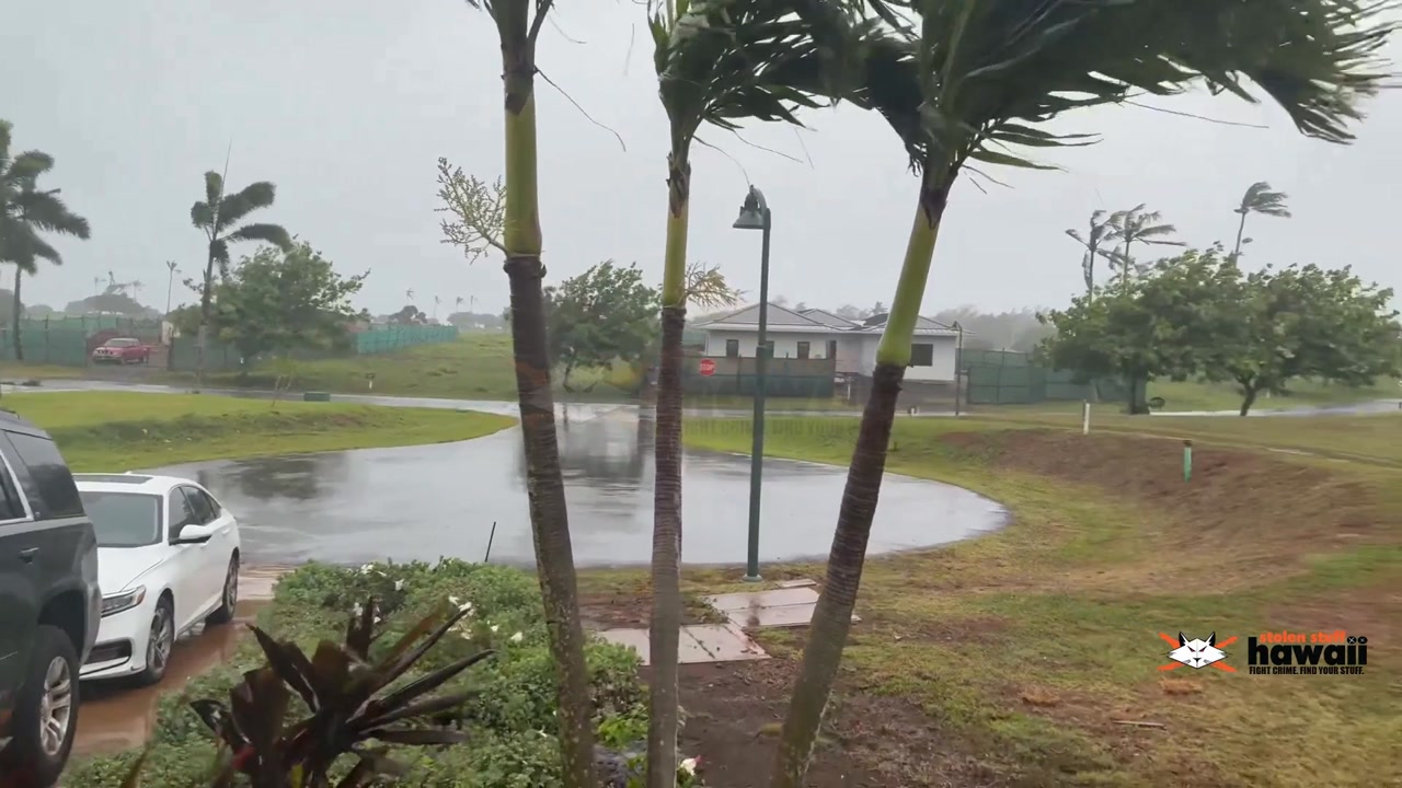 WEATHER ALERT - Lihue, Kauai | SSH Search