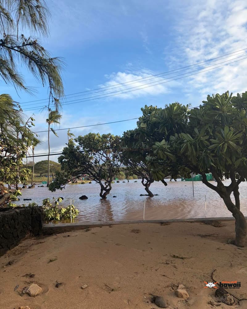 WEATHER ALERT - Oahu | SSH Search