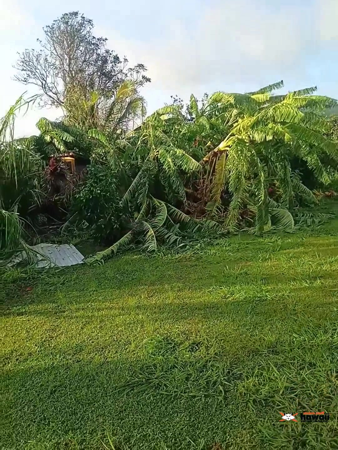 WEATHER ALERT - Moloaa, Kauai | SSH Search