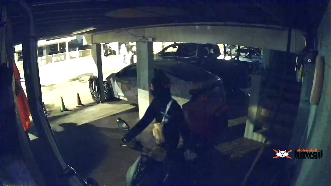 VEHICLE THEFT - Oahu | SSH Search