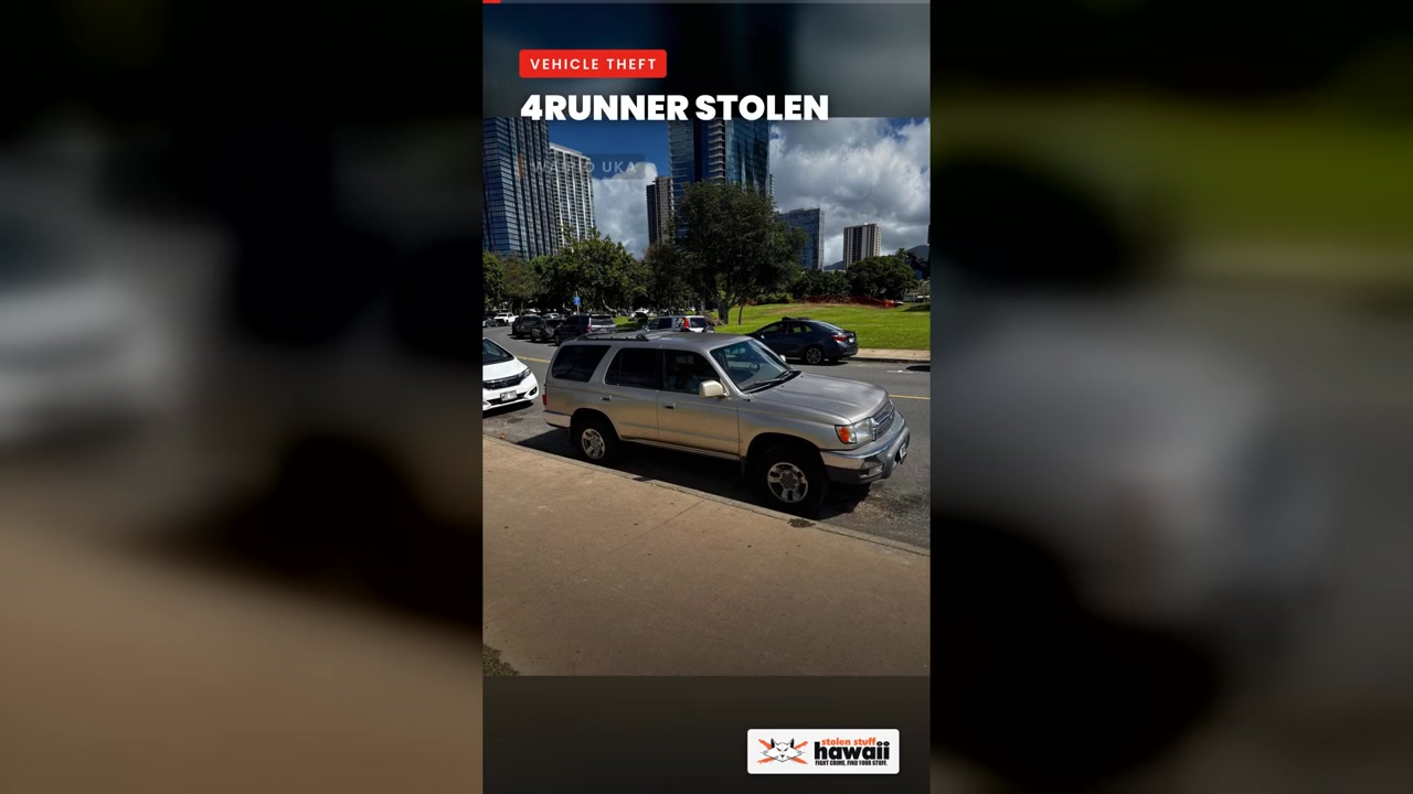 VEHICLE THEFT - Oahu | SSH Search