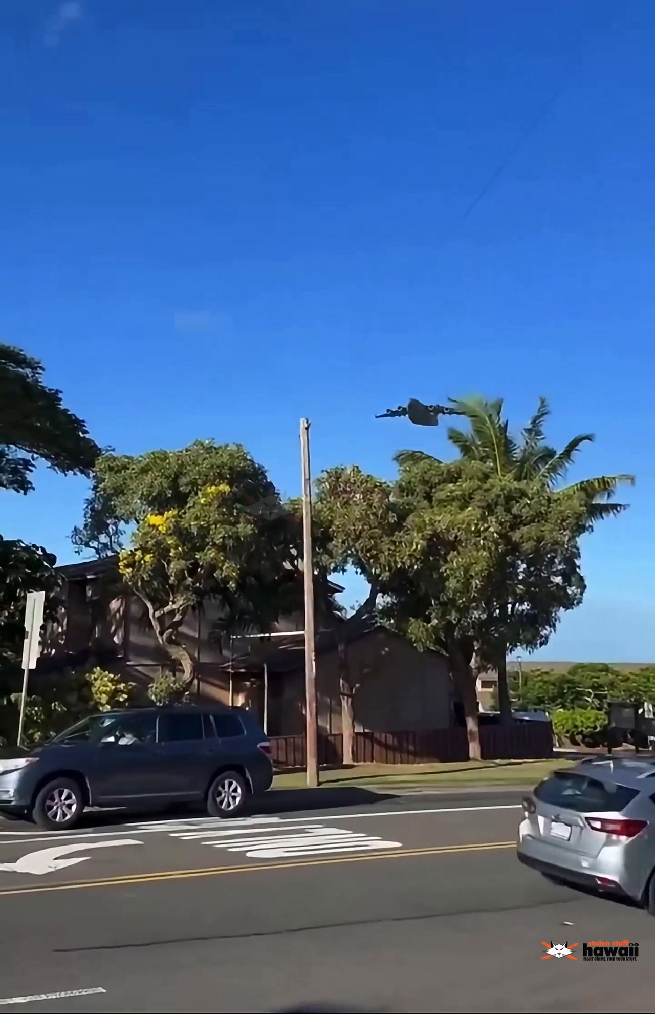 AWARENESS - Nanakuli | SSH Search