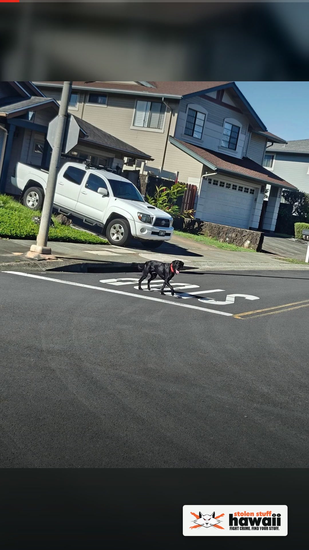 ANIMAL SIGHTING - Ahulili St, Mililani Mauka | SSH Search