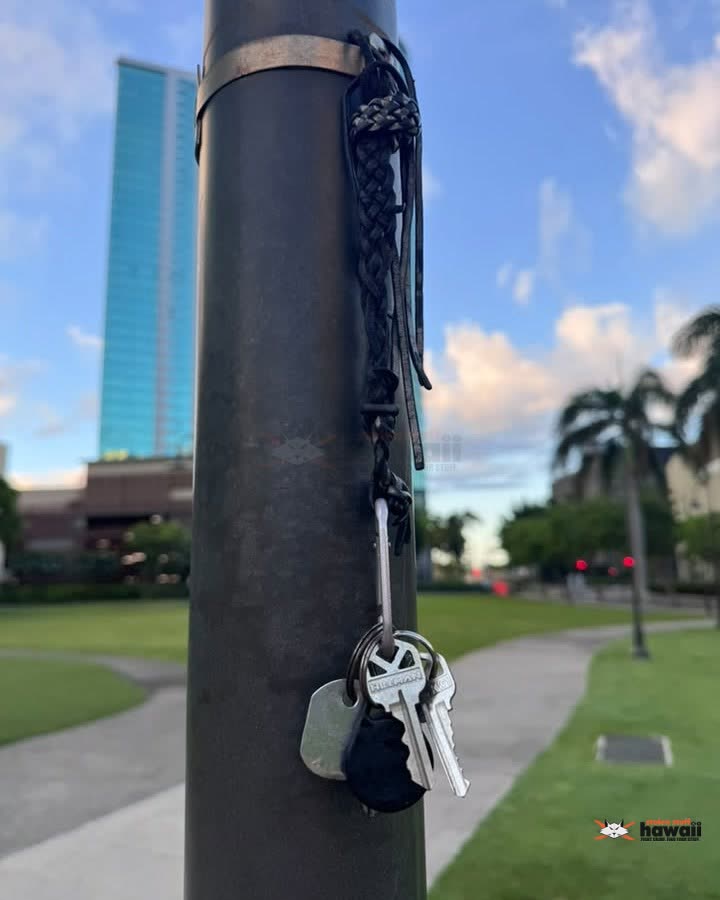 FOUND ITEM - Kolowalu Park | SSH Search