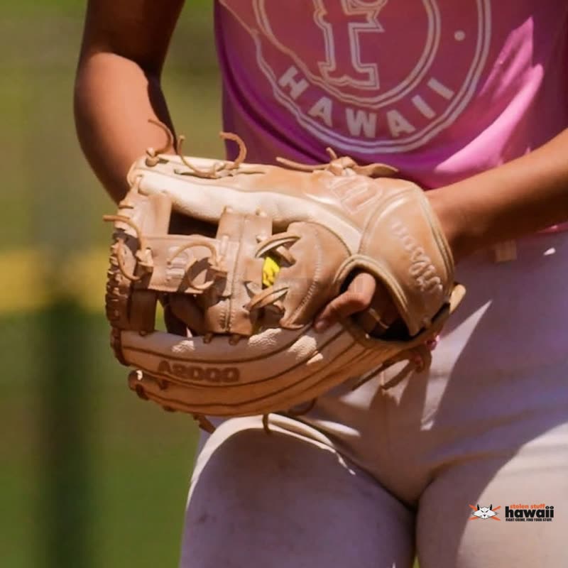 LOST ITEM - Ala Wai Park | SSH Search