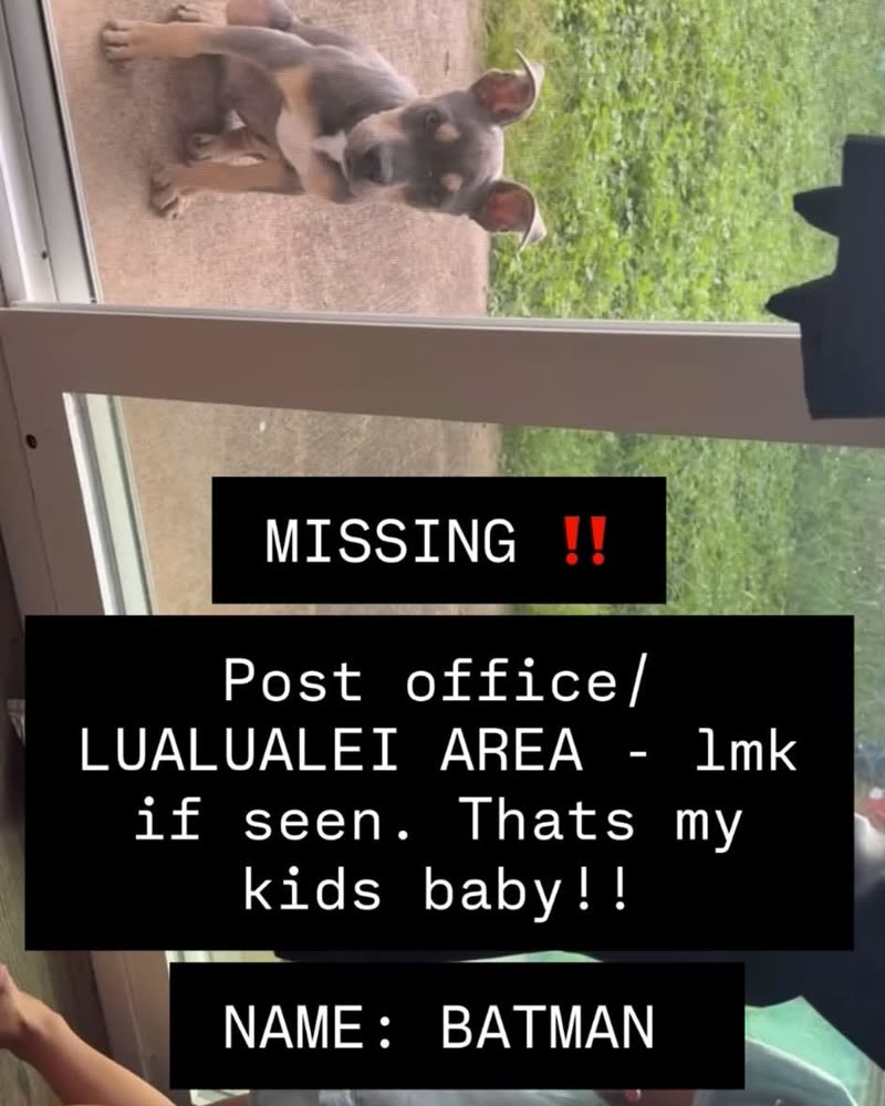 LOST PET - Lualualei | SSH Search