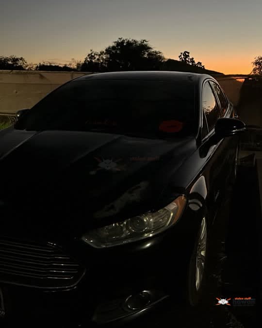 VEHICLE THEFT - Oahu | SSH Search