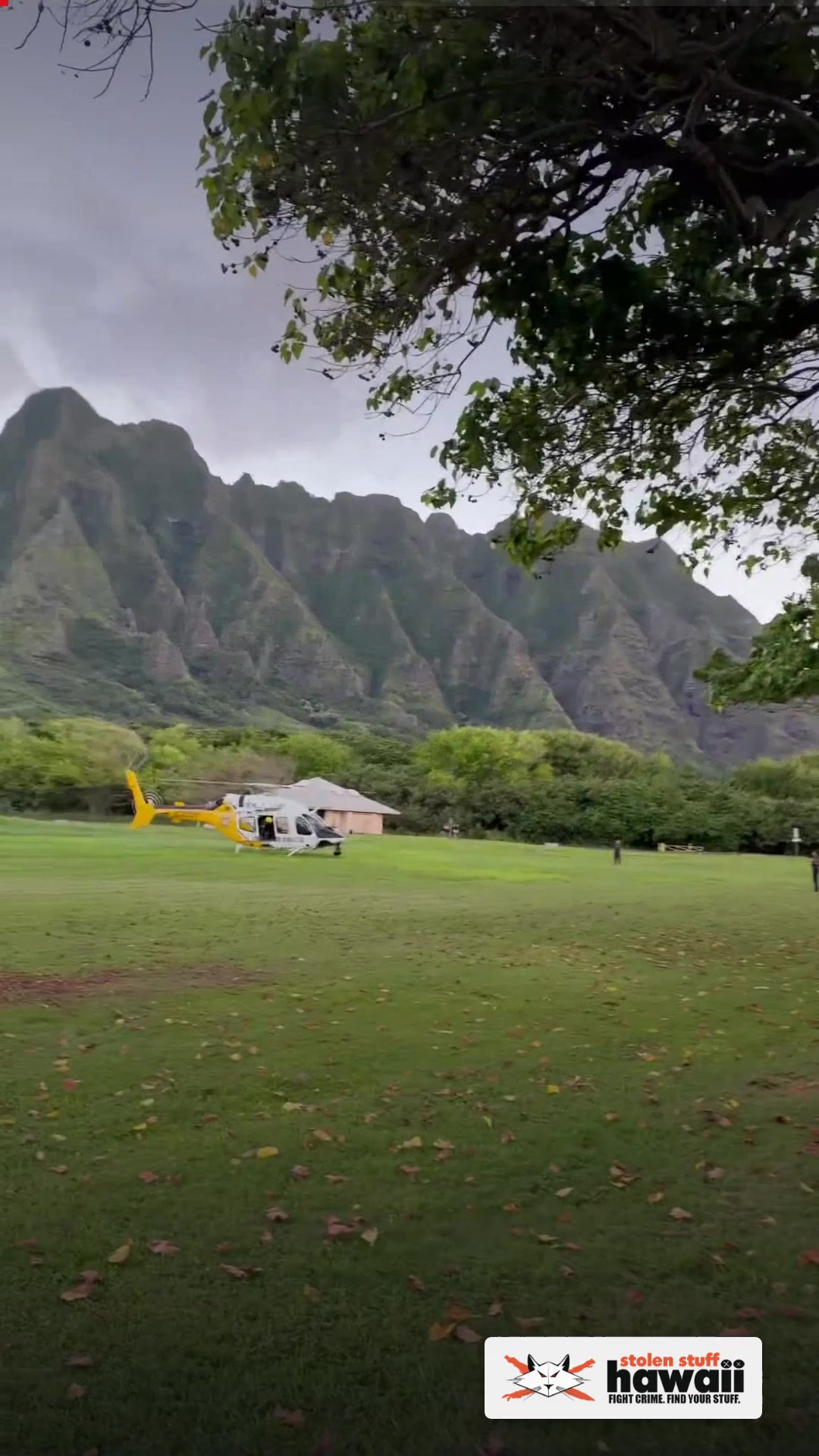 COMMUNITY - Kualoa | SSH Search