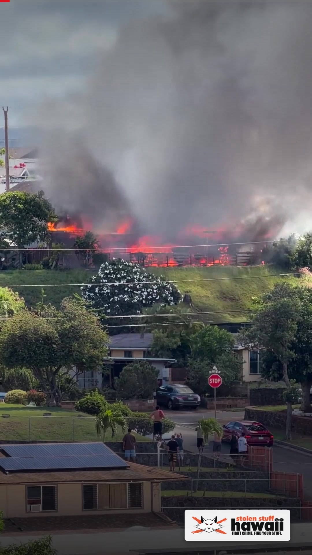 FIRE - Iwaiwa Street | SSH Search