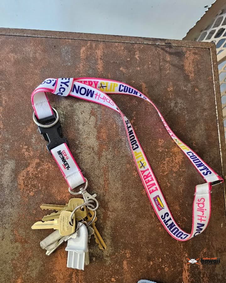 FOUND ITEM - Ala Nanu St | SSH Search