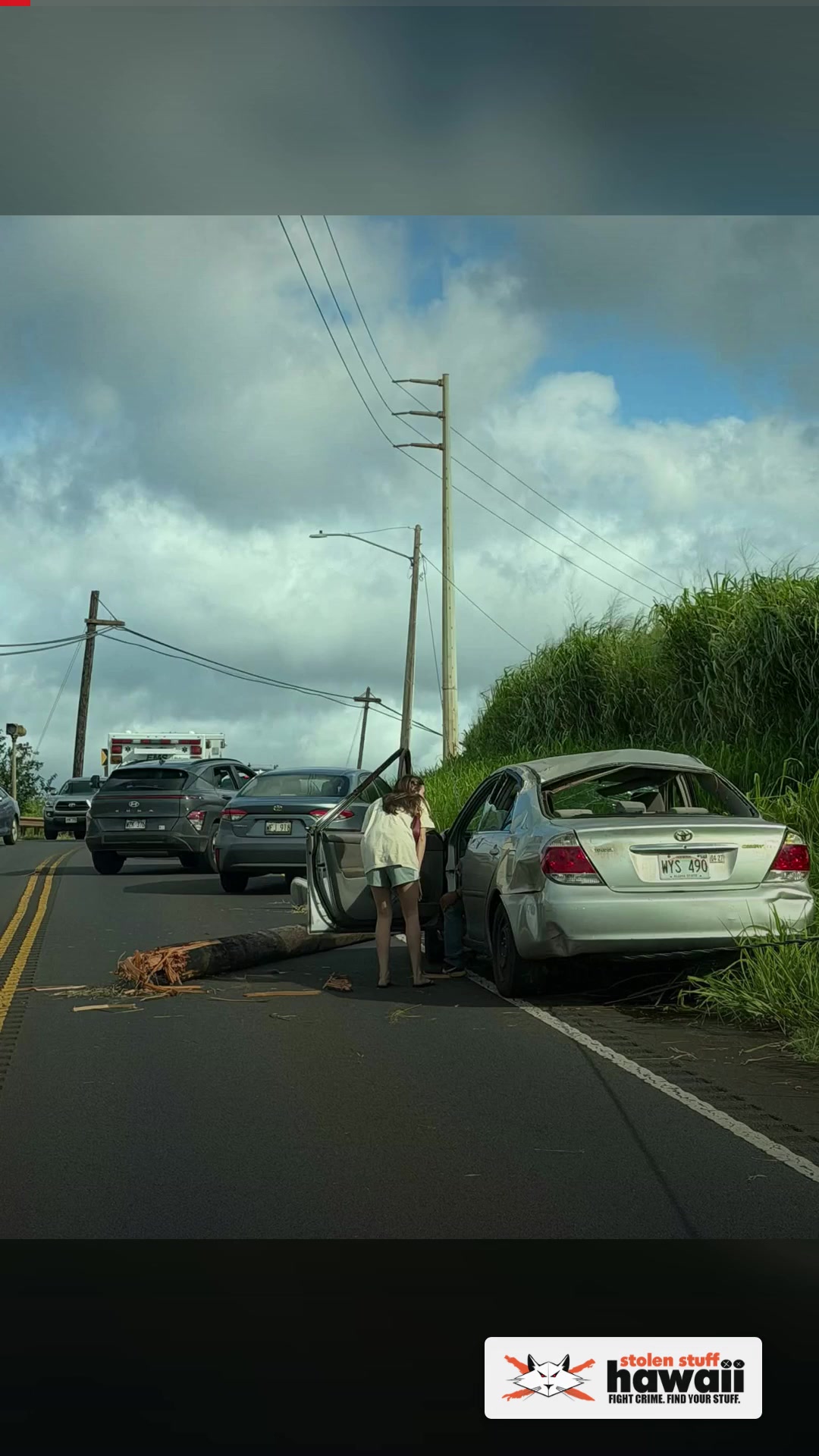COMMUNITY - Kaukonahua | SSH Search