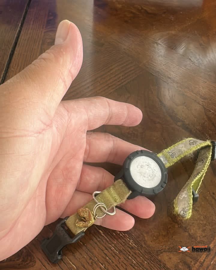 FOUND ITEM - Mele Place | SSH Search