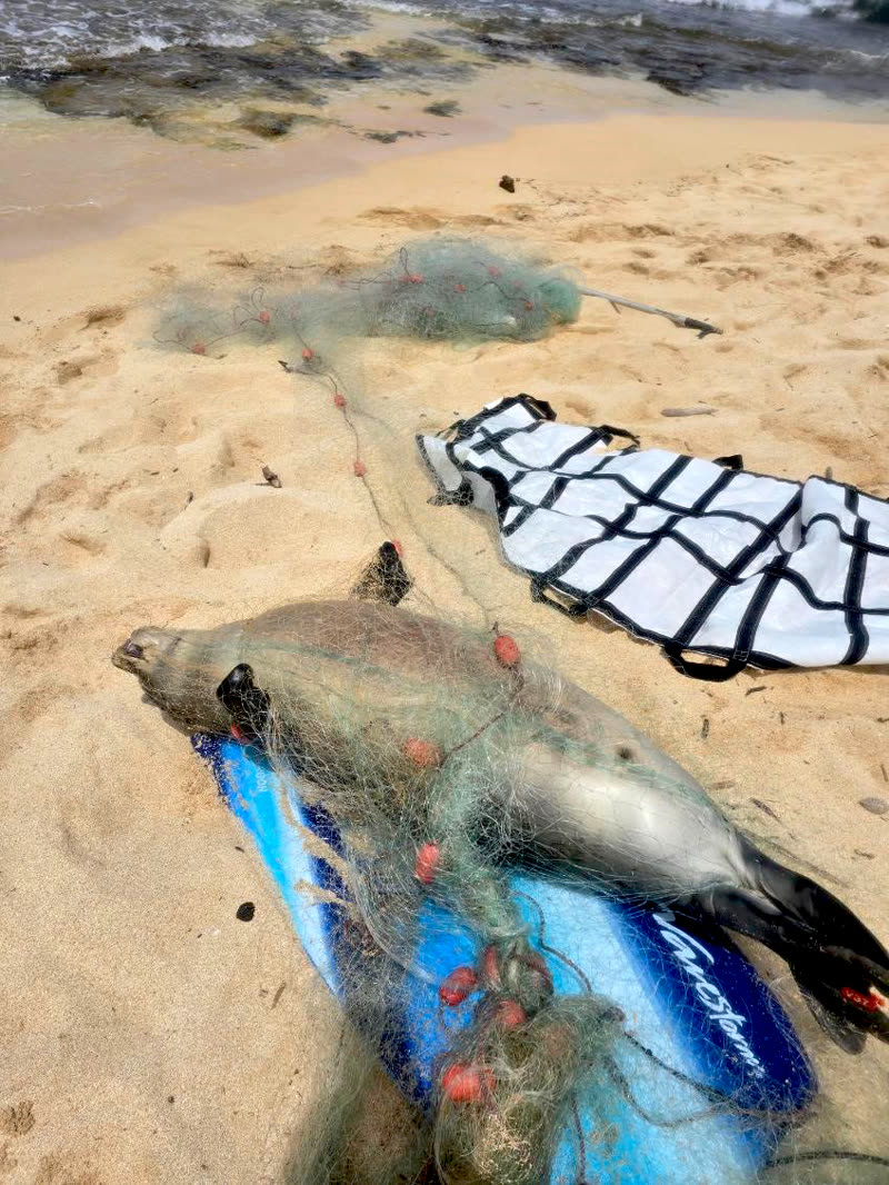 DLNR OFFICIAL - Mokuleia Beach Park, Oahu | SSH Search