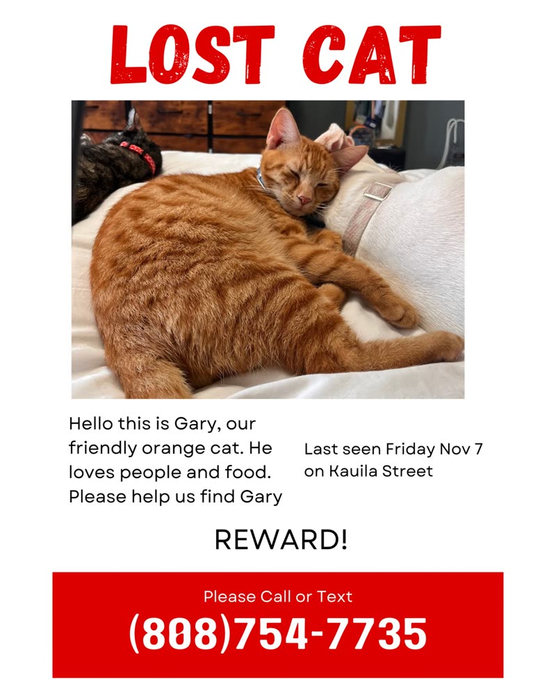 LOST PET - Oahu | SSH Search