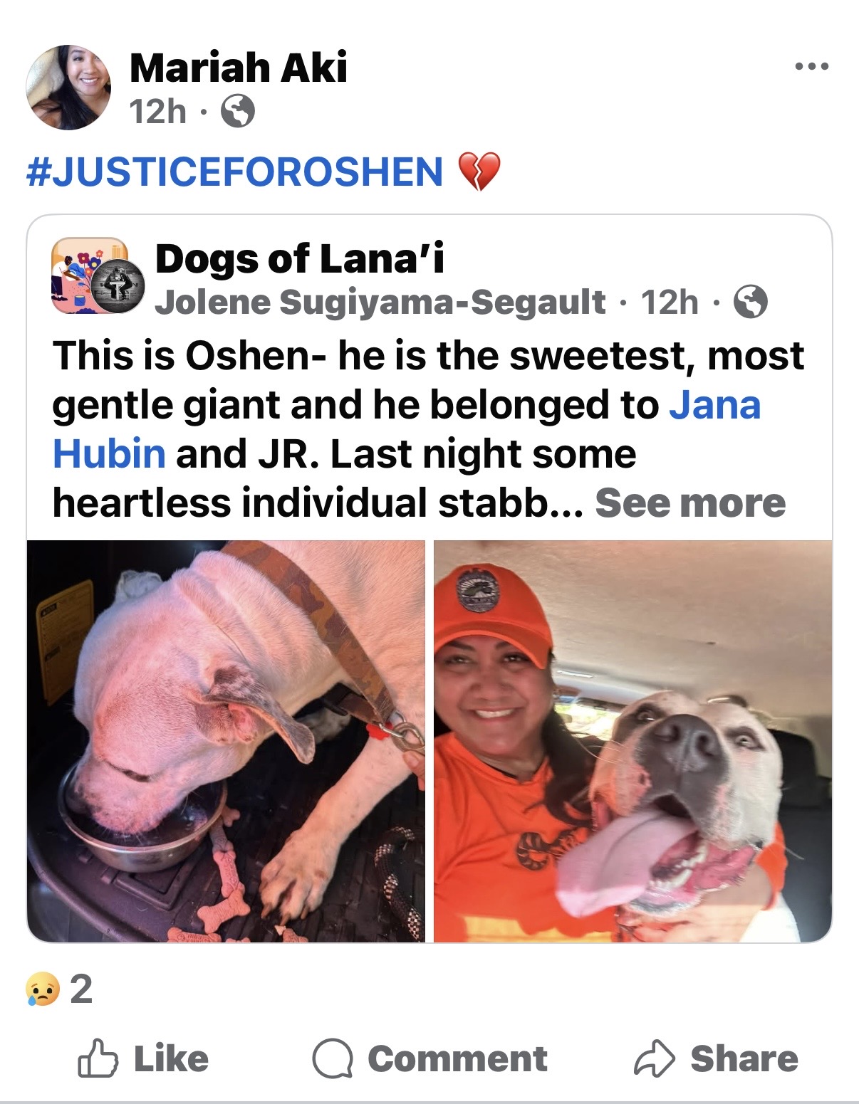 MURDER - Lanai | Stolen Stuff Hawaii