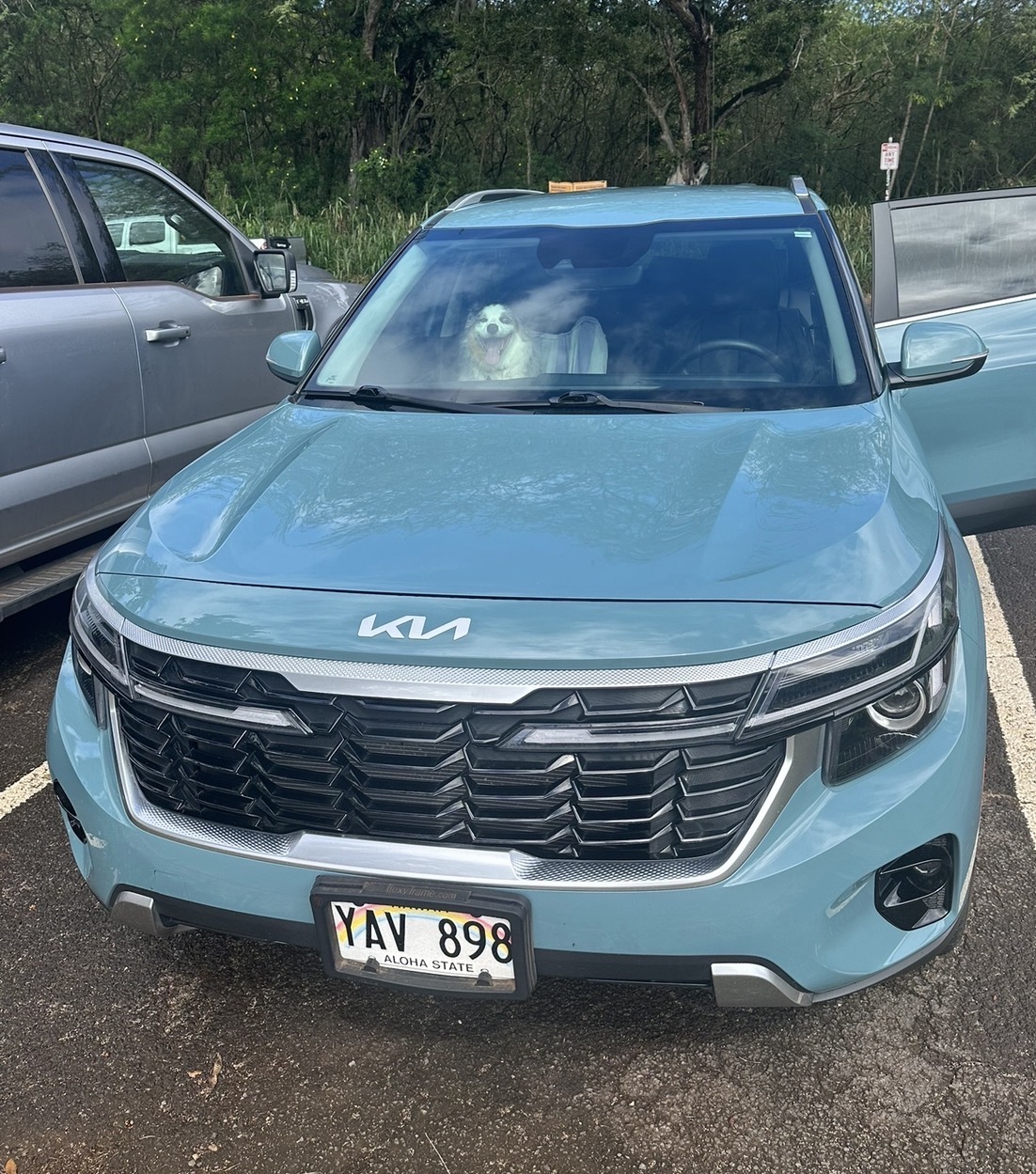 VEHICLE THEFT - Oahu | Stolen Stuff Hawaii